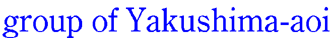 group of Yakushima-aoi