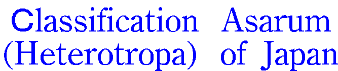 �blassification�@Asarum
(Heterotropa)�@of  Japan