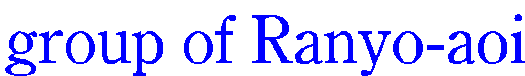 group of Ranyo-aoi