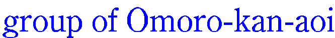 group of Omoro-kan-aoi