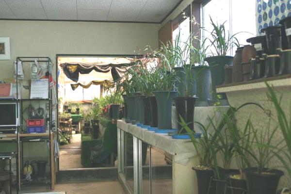 �W�������i