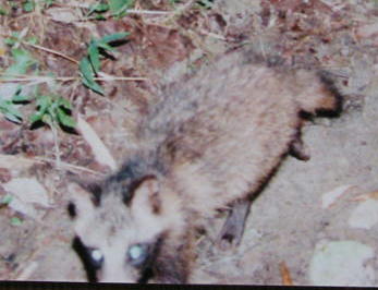 �z���h�^�k�L