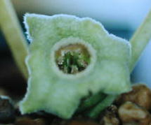 �g�C�~�T�L�J���A�I�C�@�H