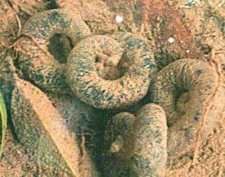 �J�X�~�T���V���E�E�I