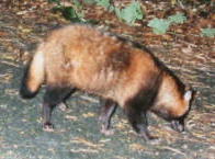 �z���h�^�k�L�i�Q�O�^�Q�Q�j