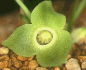 �������E�A�I�C